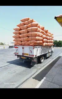 کاه گندم وپرس