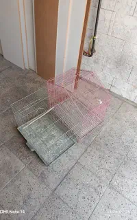 قفس پرنده