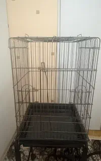 قفس پرنده