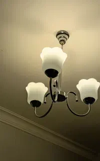 لوستر