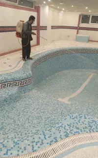 سمپاشی ساس سوسک و حشرات موذی تضمین۱۰۰٪ درصدی