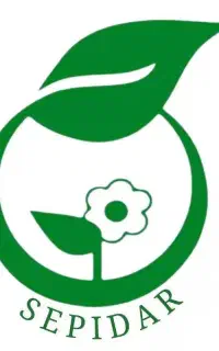 استخدام حسابدار