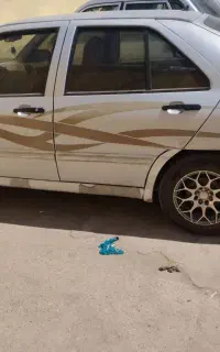 چری ویانا
