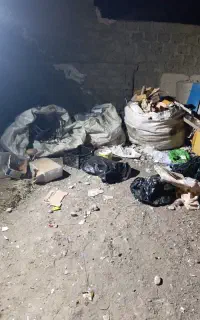کبادی پاشا در کنارک