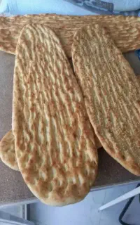 پخش نان بربری و نان روغنی