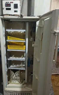 دستگاه جوجه کشی