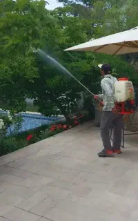 سمپاشی باغبانی تیلرزنی هرس کاری در تمام نقاط مشهد