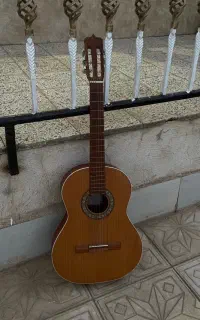 گیتار پارسی D6
