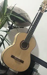 گیتار ایرانی