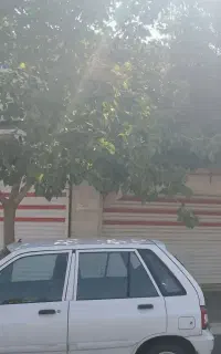 اجاره بهترین مغازه در بازار روز قائم(منطقه ۴)