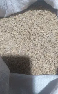 جو بندر تحویل در پارساباد