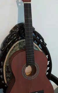 گیتار پارسی مدل M2