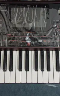 کرگ pa1000 در حد آکبند
