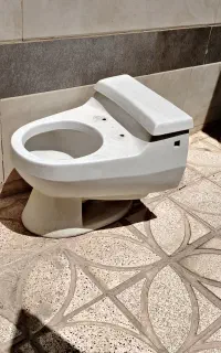 توالت فرنگی