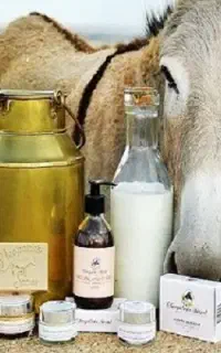 باسلام روغن خر اصل از دامداری گرفتم
