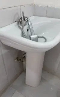 سرشور ایستاده