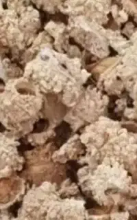 شکرتیغال. خار شکر