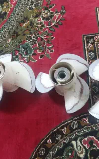پروانه قایق