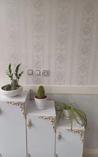 جاکفشی