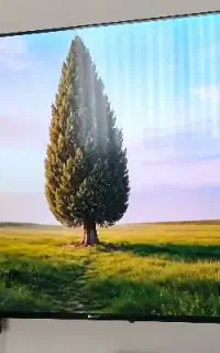 تلویزیون