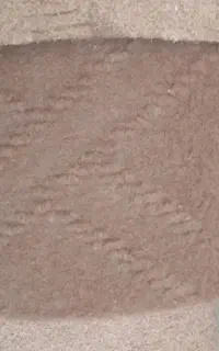 موکت ۴۰ متری ۲ تومان