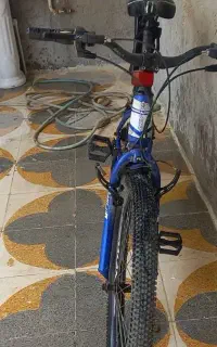 دنده ای