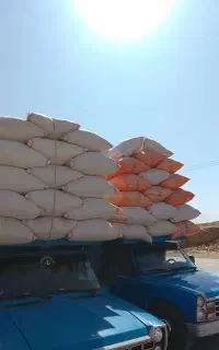 کاه گندم