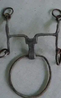 دهنه قدیمی اسب
