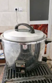 پلوپز بخارپز ژاپنی