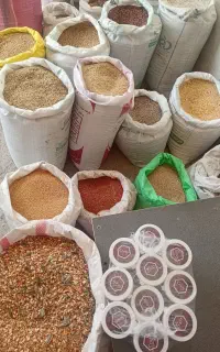 دانه پرنده(عمده و خورده)