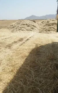 خریدار کاه گندم