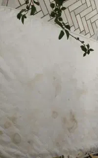 تشک خوشخواب