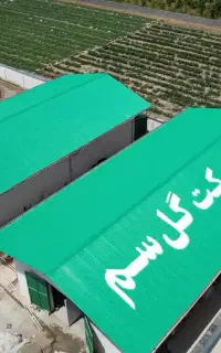 کارگر گلخانه خانم
