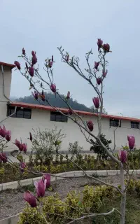 کارشناس بازرگانی و امور مشتریان