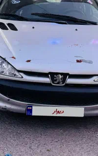 ۲۰۶ تیپ دو دور رنگ