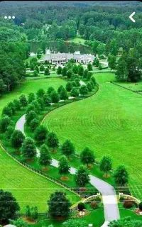 نیازمند باغبان