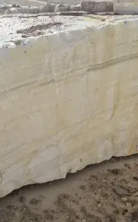 راننده بیل