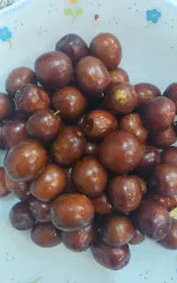 عناب تازه بیرجند