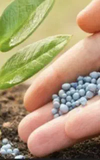 خریدار کود شیمیایی