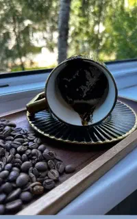 ذاغ. سرکتاب.