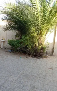 اجاره سوییت شبانه روزی حاجی آباد