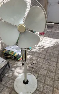 پنکه ایستاده