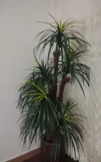 گل نخل مصنوعی