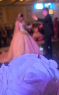 دی جی خانوم