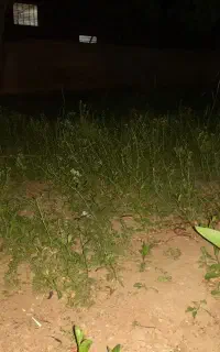 موتور چاه آب