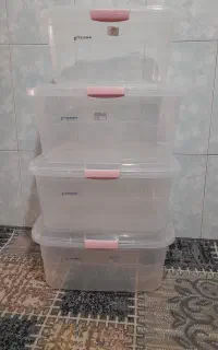 جانونی