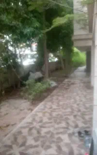 انجام خدمات نظافتی حیاط وساختمان