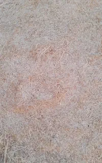 فروش کاه