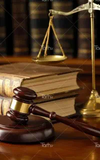 وکیل دادگستری و کارشناس ارشد حقوق تجارت بین الملل