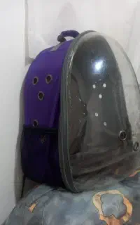 کیف پت و طوطی